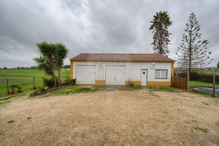Moradia T4 para Venda em Brogueira, Parceiros de Igreja e Alcorochel Foto 41