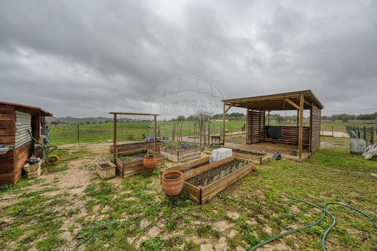 Moradia T4 para Venda em Brogueira, Parceiros de Igreja e Alcorochel Foto 40