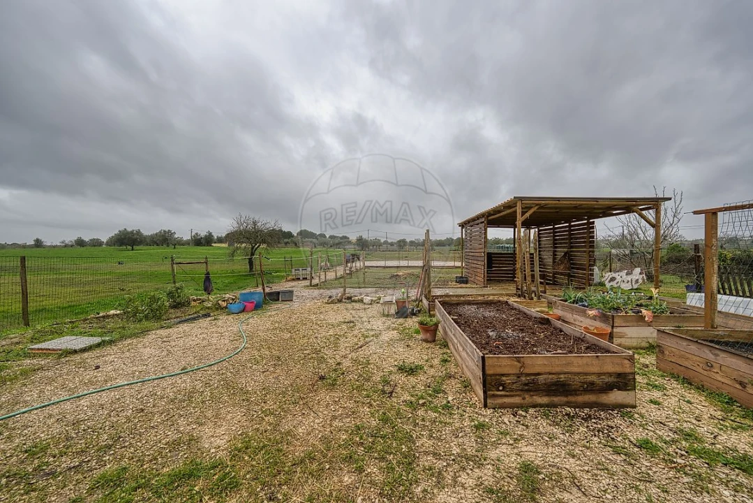 Moradia T4 para Venda em Brogueira, Parceiros de Igreja e Alcorochel Foto 39