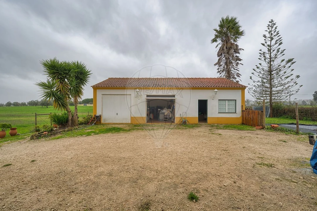 Moradia T4 para Venda em Brogueira, Parceiros de Igreja e Alcorochel Foto 31