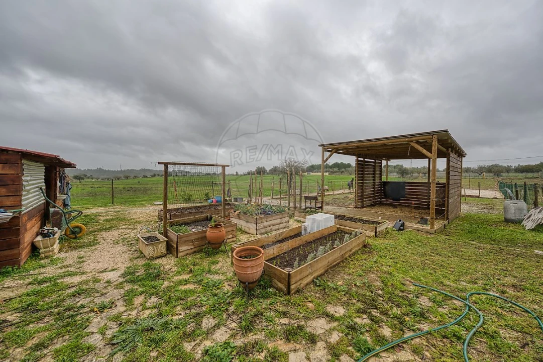 Moradia T4 para Venda em Brogueira, Parceiros de Igreja e Alcorochel Foto 40