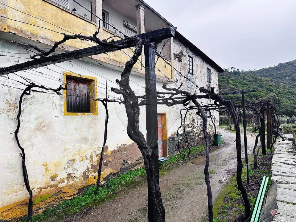 Quinta T0 para Venda em Poiares e Canelas Foto 4