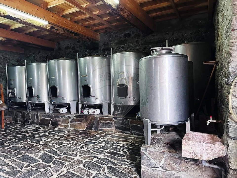 Quinta T0 para Venda em Poiares e Canelas Foto 13