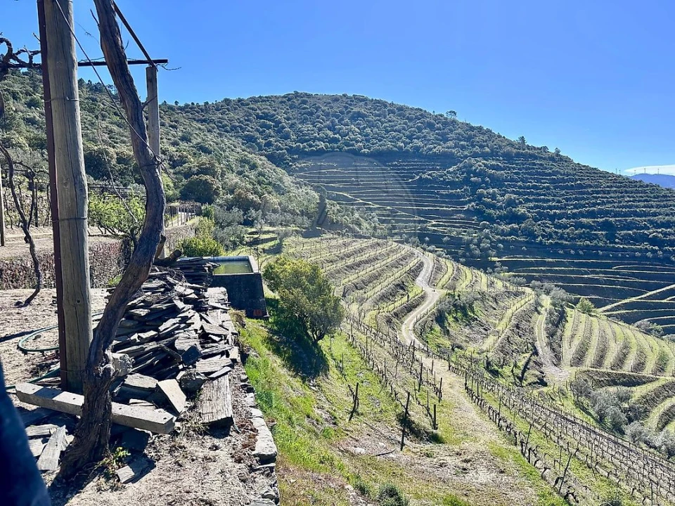 Quinta T0 para Venda em Poiares e Canelas Foto 1