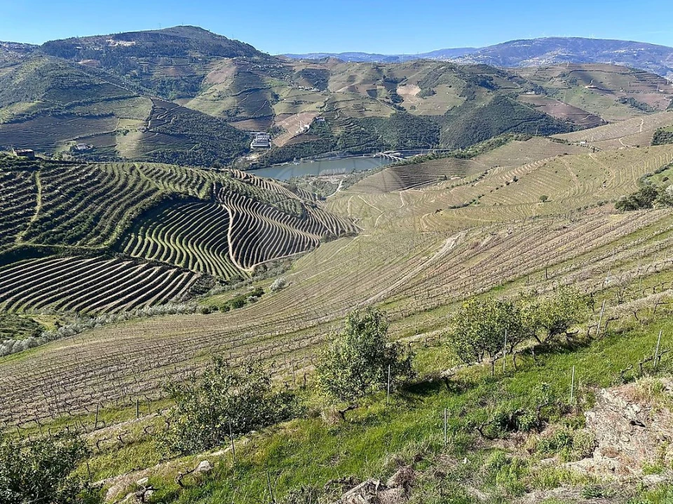 Quinta T0 para Venda em Poiares e Canelas Foto 4