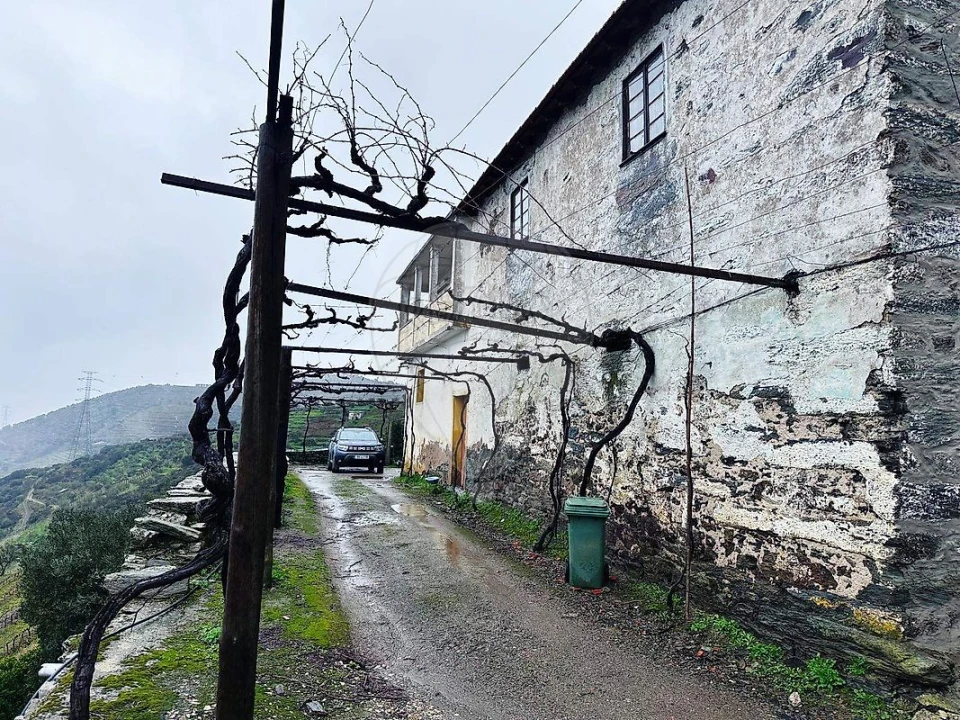 Quinta T0 para Venda em Poiares e Canelas Foto 2
