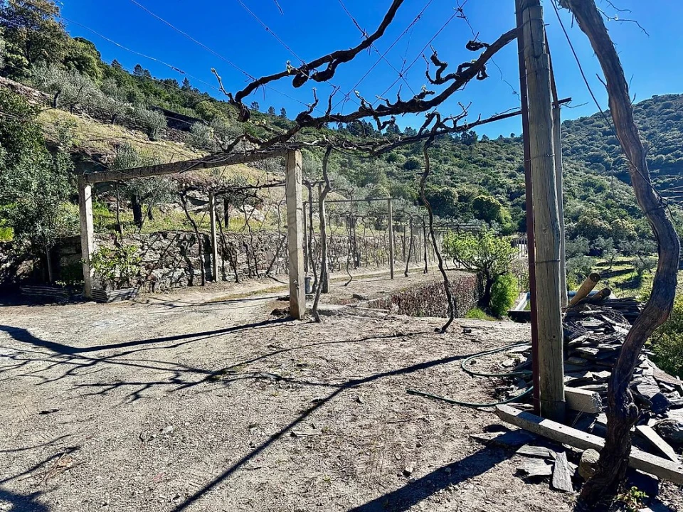 Quinta T0 para Venda em Poiares e Canelas Foto 2