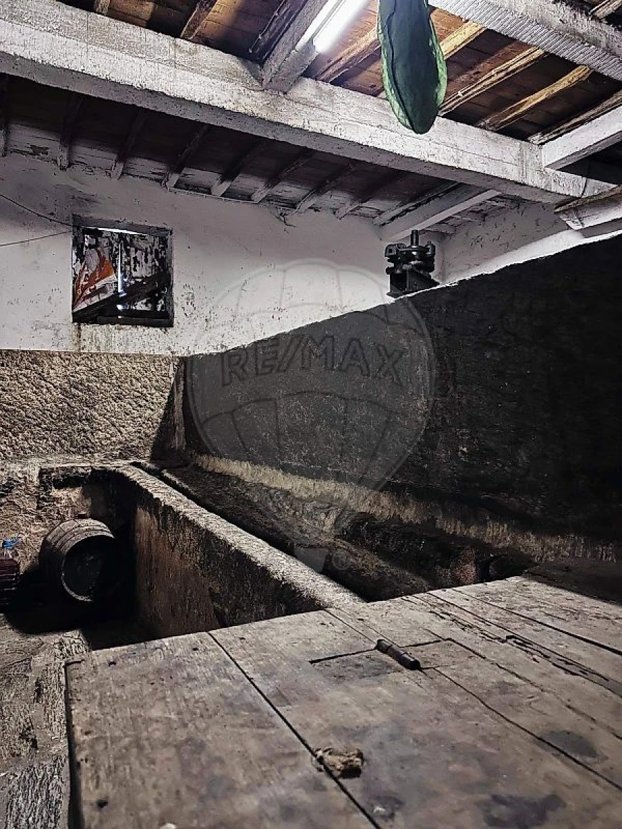 Quinta T0 para Venda em Poiares e Canelas Foto 17