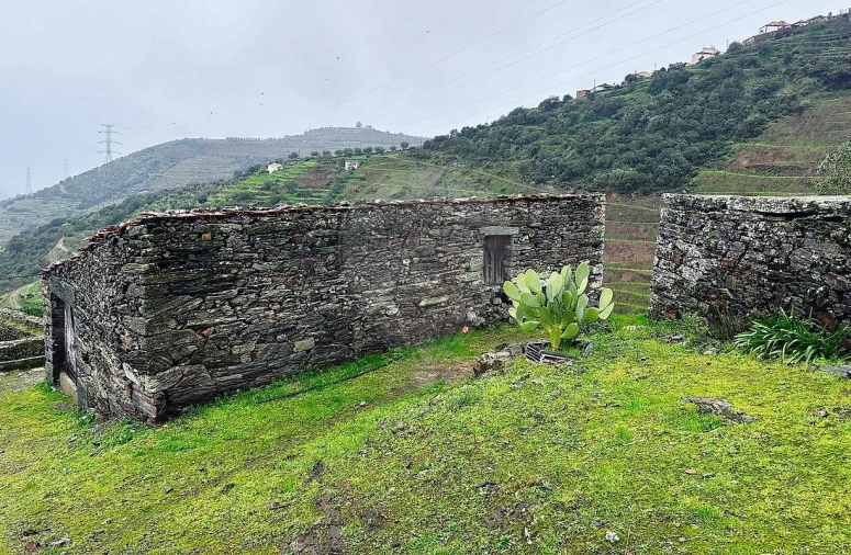 Quinta T0 para Venda em Poiares e Canelas Foto 10