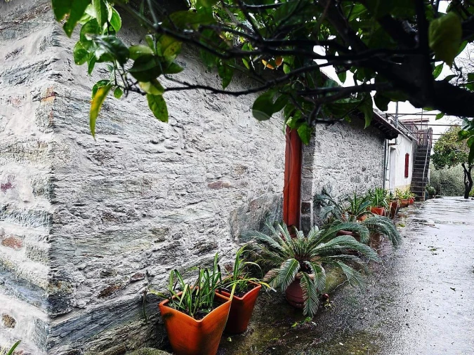 Quinta T0 para Venda em Poiares e Canelas Foto 8