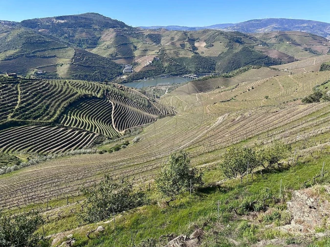 Quinta T0 para Venda em Poiares e Canelas Foto 4