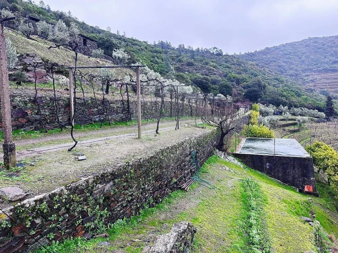 Quinta T0 para Venda em Poiares e Canelas Foto 12