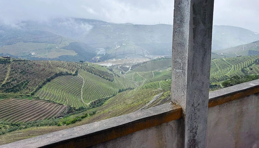 Quinta T0 para Venda em Poiares e Canelas Foto 7