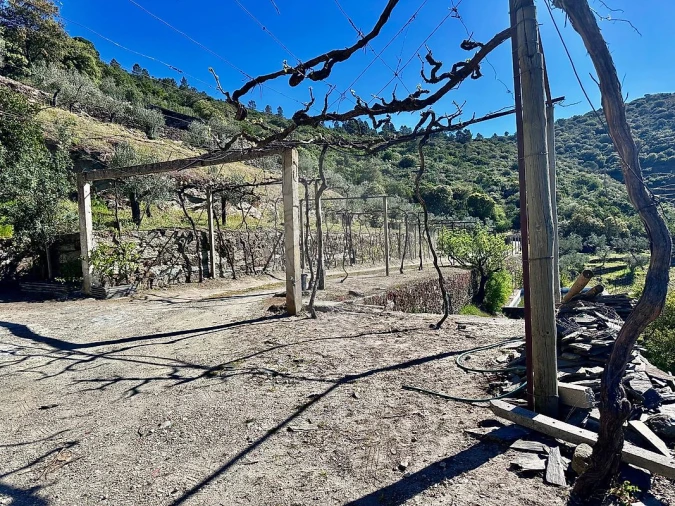 Quinta T0 para Venda em Poiares e Canelas Foto 2