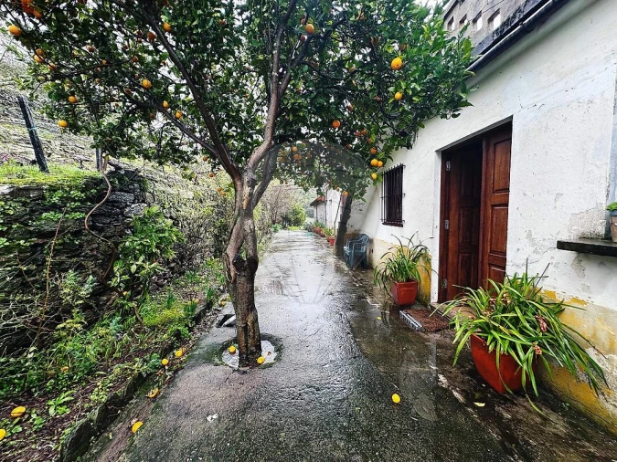 Quinta T0 para Venda em Poiares e Canelas Foto 1