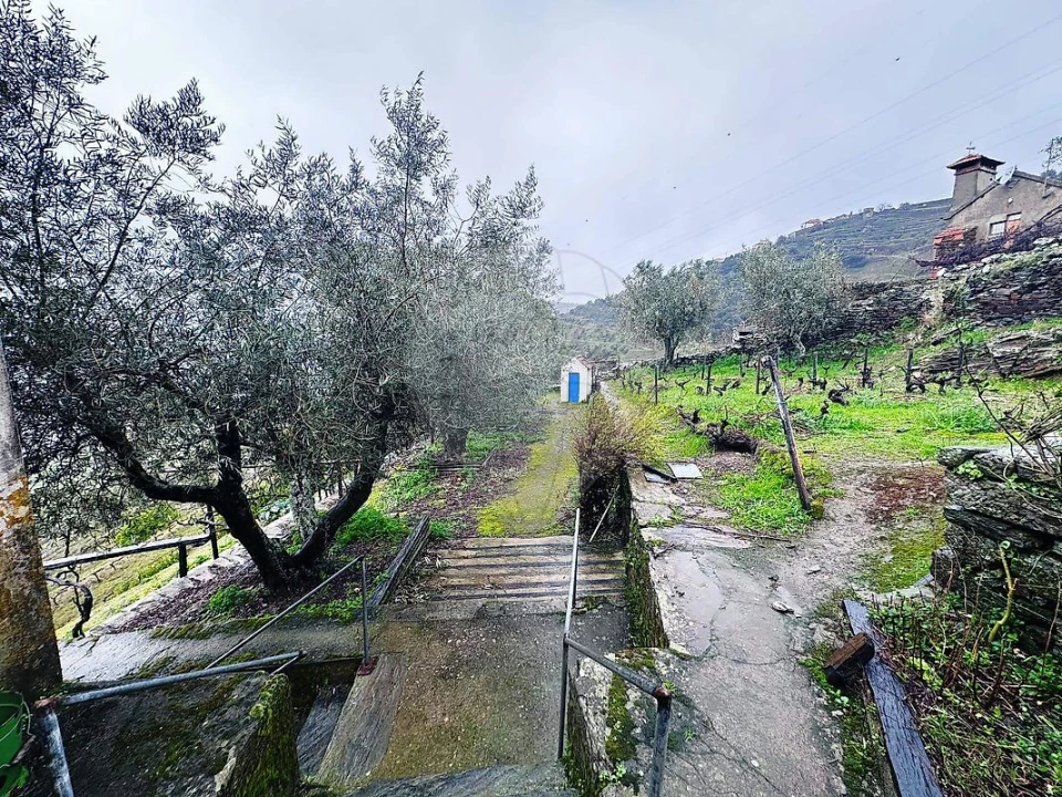 Quinta T0 para Venda em Poiares e Canelas Foto 18