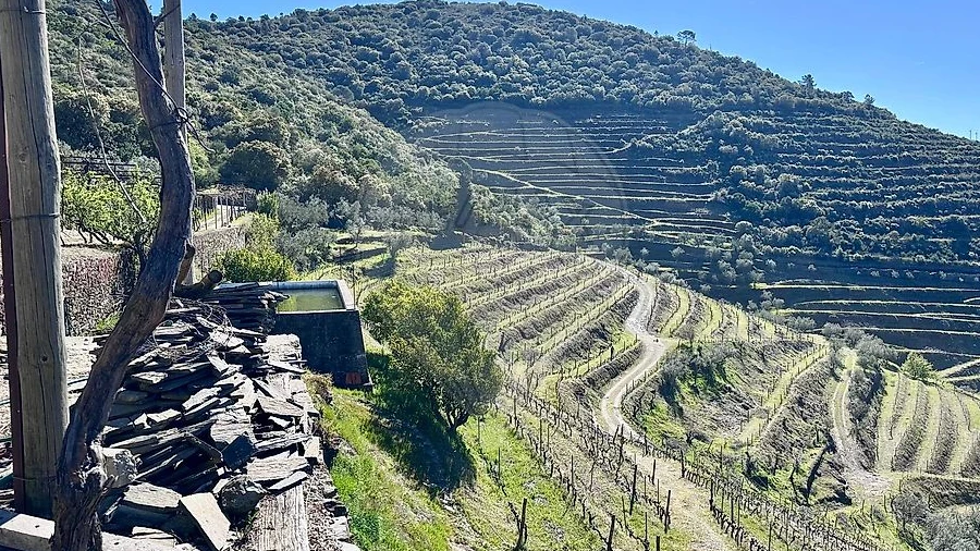 Quinta T0 para Venda em Poiares e Canelas