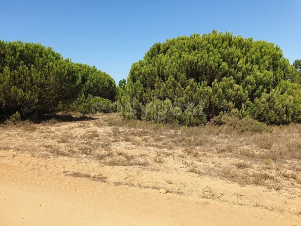 Terreno Agricola ou Rústico para Venda em Longueira/Almograve Foto 2