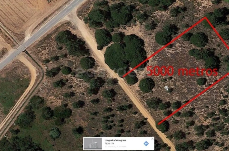 Terreno Agricola ou Rústico para Venda em Longueira/Almograve Foto 4