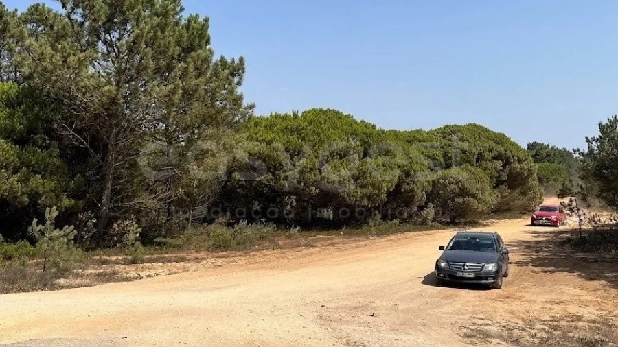 Terreno Agricola ou Rústico para Venda em Longueira/Almograve