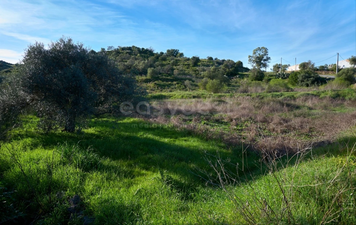 Terreno Agricola ou Rústico para Venda em Alcoutim e Pereiro Foto 1