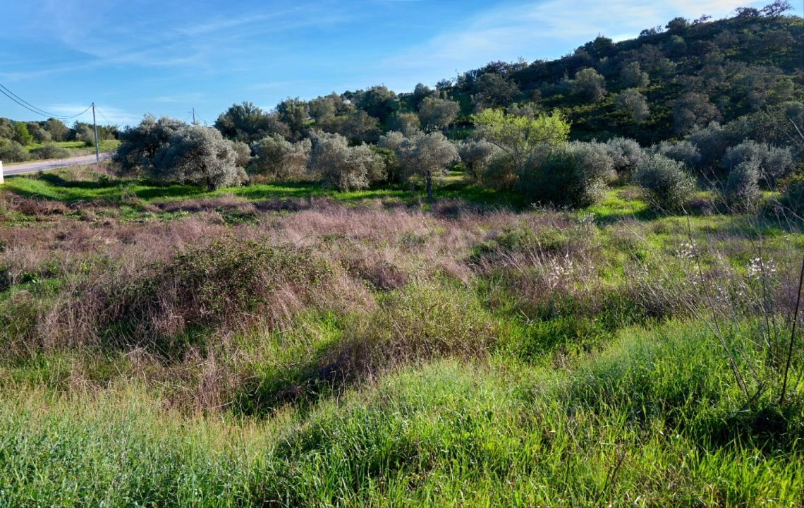 Terreno Agricola ou Rústico para Venda em Alcoutim e Pereiro Foto 3
