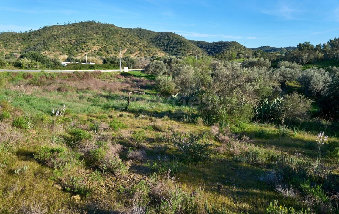 Terreno Agricola ou Rústico para Venda em Alcoutim e Pereiro Foto 6