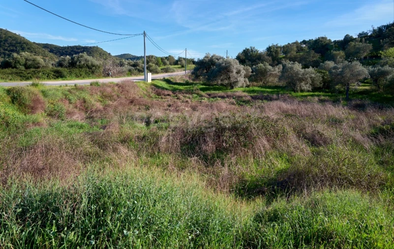 Terreno Agricola ou Rústico para Venda em Alcoutim e Pereiro Foto 4