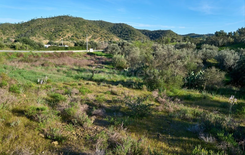 Terreno Agricola ou Rústico para Venda em Alcoutim e Pereiro Foto 6
