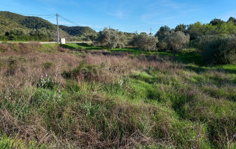 Terreno Agricola ou Rústico para Venda em Alcoutim e Pereiro Foto 7