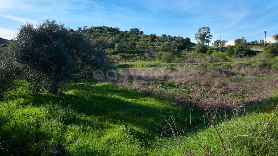 Terreno Agricola ou Rústico para Venda em Alcoutim e Pereiro