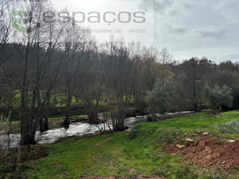 Quinta para Venda em Souto da Casa Foto 4