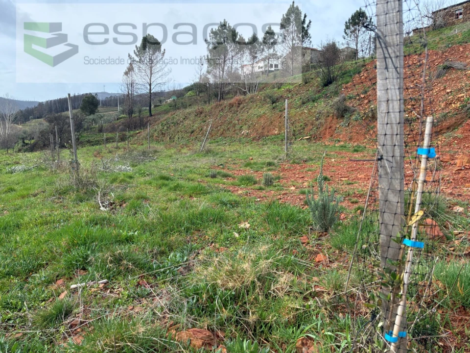 Quinta para Venda em Souto da Casa Foto 22