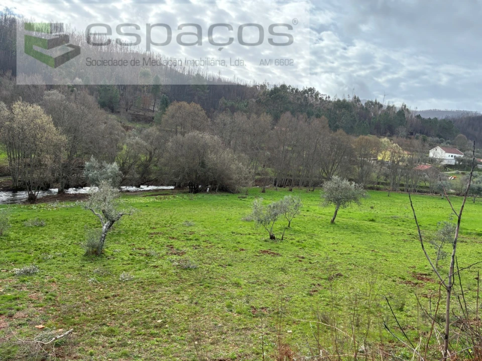 Quinta para Venda em Souto da Casa Foto 18
