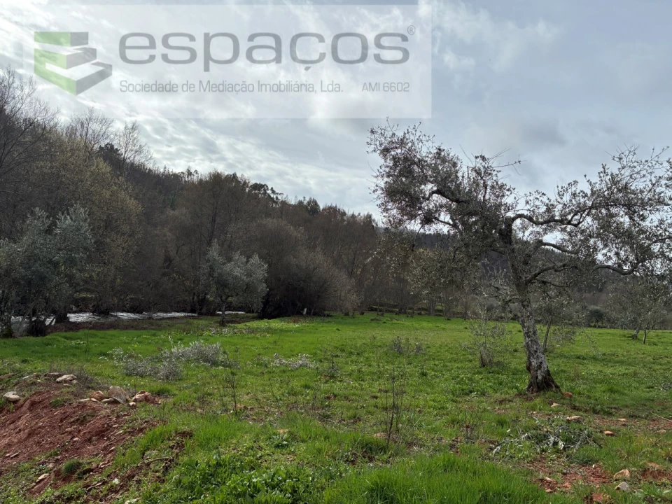 Quinta para Venda em Souto da Casa Foto 24