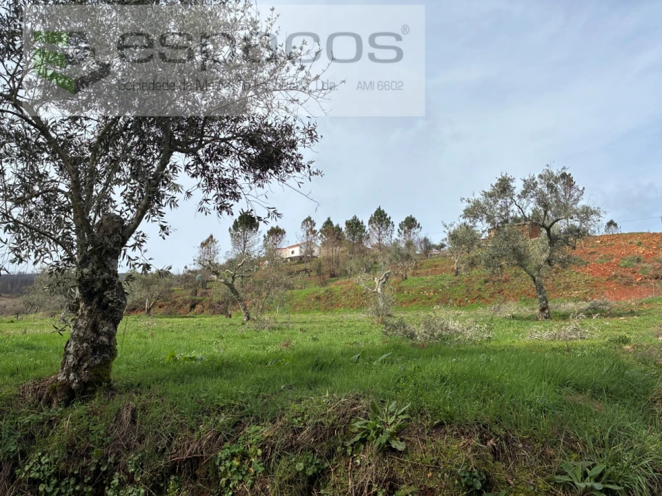 Quinta para Venda em Souto da Casa Foto 25