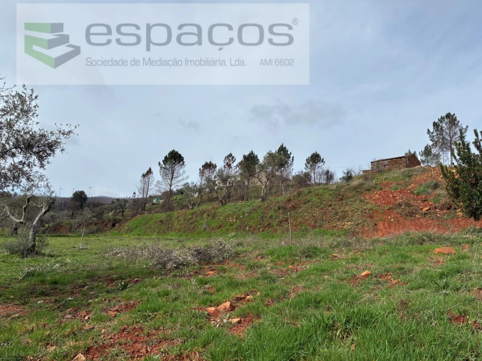 Quinta para Venda em Souto da Casa Foto 26