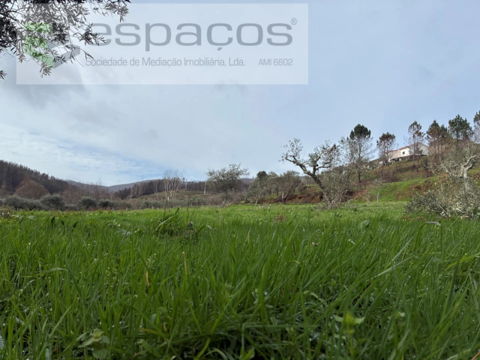 Quinta para Venda em Souto da Casa Foto 28