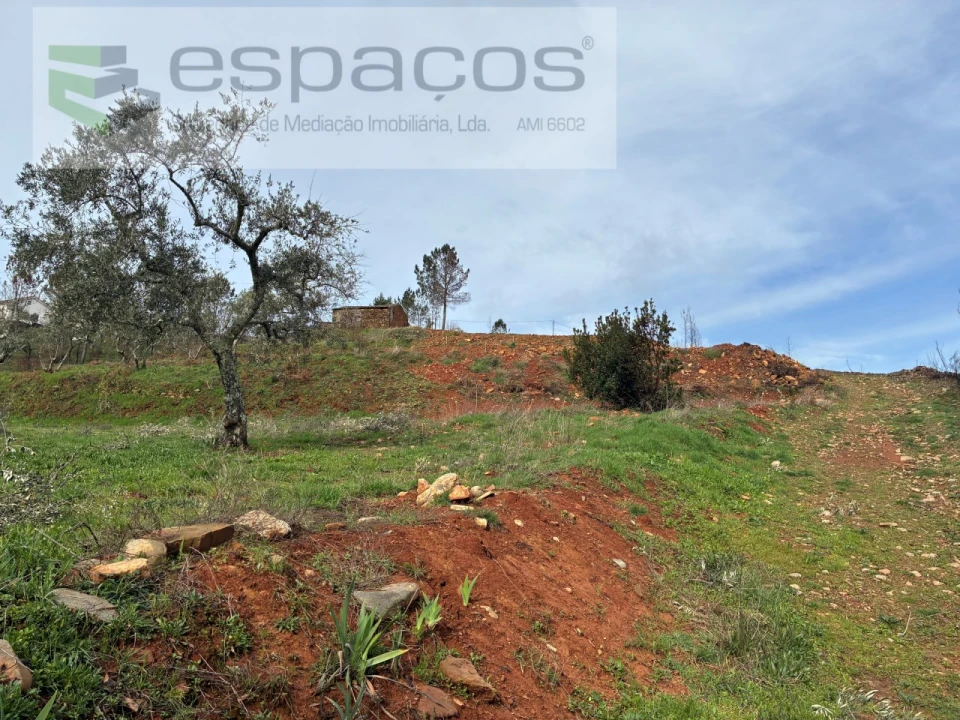 Quinta para Venda em Souto da Casa Foto 30