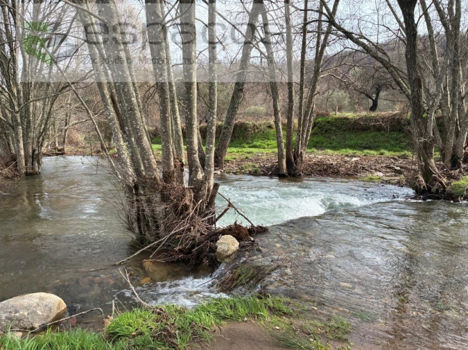 Quinta para Venda em Souto da Casa