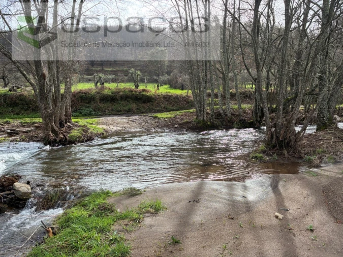 Quinta para Venda em Souto da Casa Foto 3