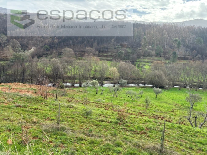 Quinta para Venda em Souto da Casa Foto 16