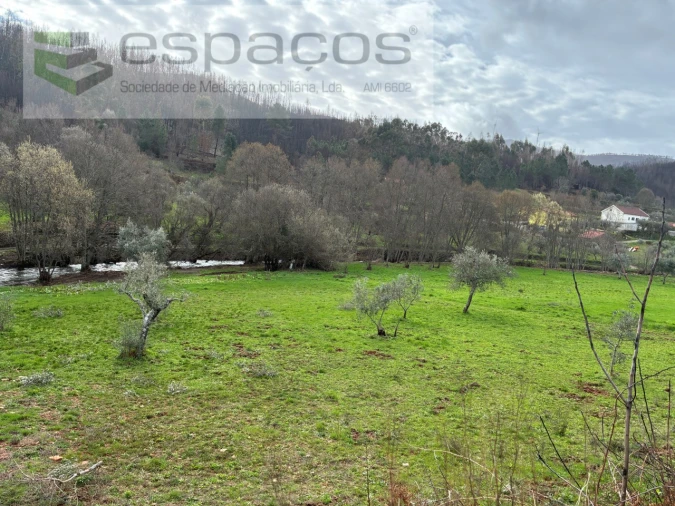 Quinta para Venda em Souto da Casa Foto 18
