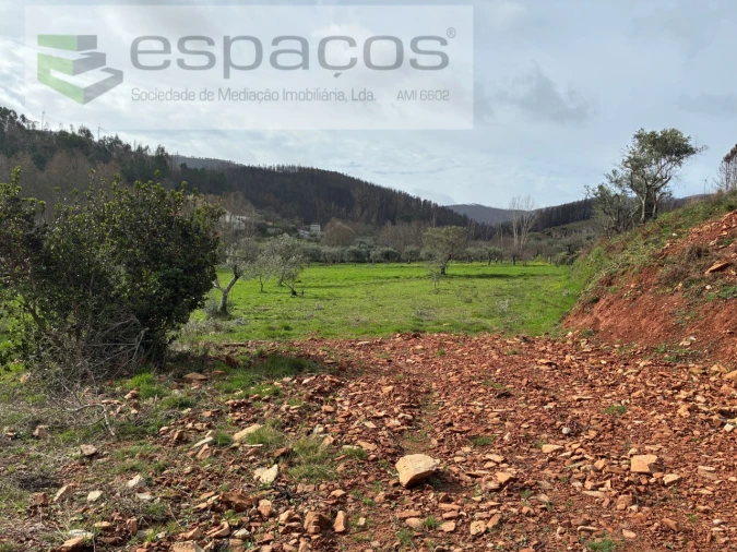 Quinta para Venda em Souto da Casa Foto 23