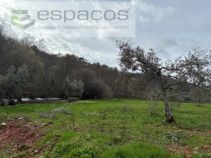 Quinta para Venda em Souto da Casa Foto 24