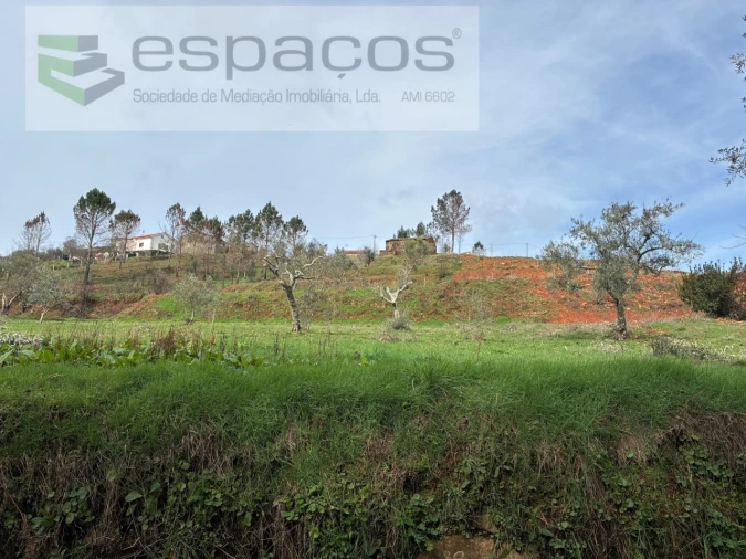 Quinta para Venda em Souto da Casa Foto 27