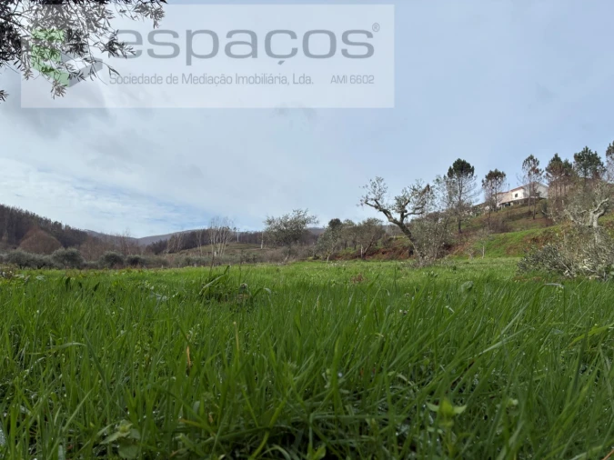 Quinta para Venda em Souto da Casa Foto 28