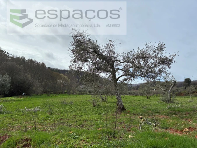 Quinta para Venda em Souto da Casa Foto 29