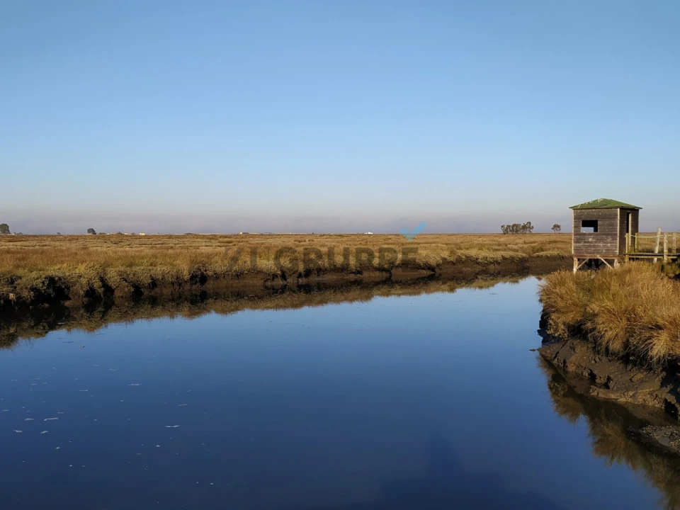 Terreno para Venda em Ílhavo (São Salvador) Foto 31