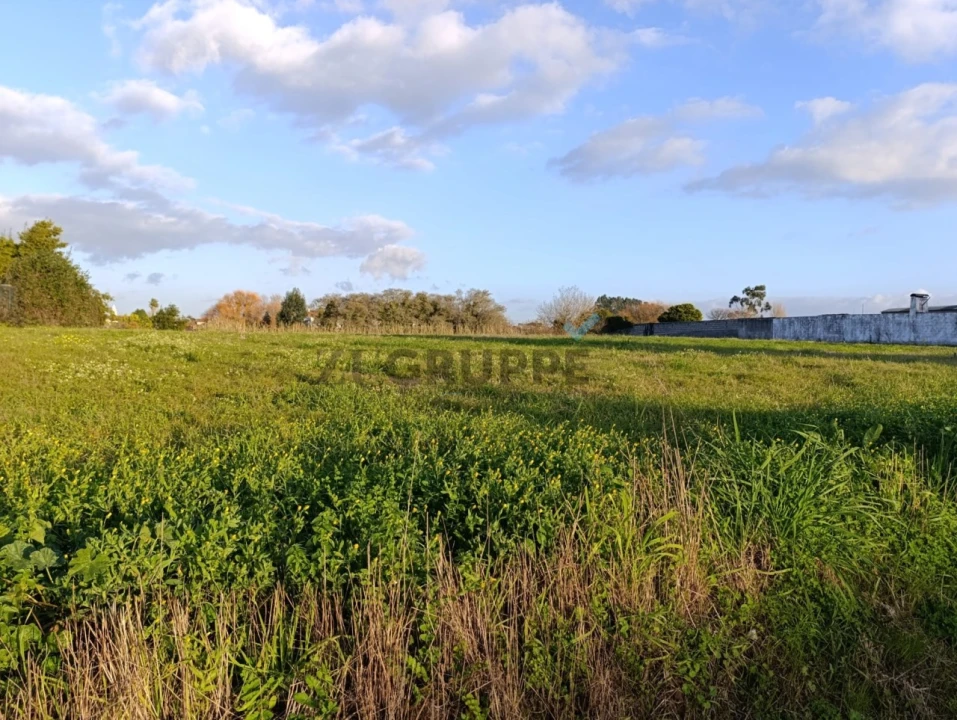Terreno para Venda em Ílhavo (São Salvador) Foto 2